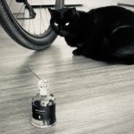 عطر ادکلن فورو نوآر سرژ لوتنز - Fourreau Noir Serge Lutens - بررسی، قیمت و خرید