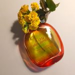 عطر ادکلن اُ دِ ژَردَن کلارینس - Eau des Jardins Clarins - بررسی، قیمت و خرید