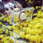 عطر ادکلن وانتد هلنا روبینشتاین - Wanted Helena Rubinstein - بررسی، قیمت و خرید