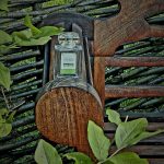 عطر ادکلن اِسِنس آف د پارک کارتوزیا - Essence of the Park Carthusia - بررسی، قیمت و خرید