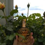 عطر ادکلن مخلت للعبایا و شیله راساسی - Mukhallat Lil Abhaya Wa Shela Rasasi - بررسی، قیمت و خرید