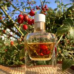 عطر ادکلن ژور د هرمس ابسولو اِرمِس - Jour d'Hermes Absolu Hermès - بررسی، قیمت و خرید