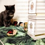 عطر ادکلن دراکو تیزیانا ترنزی - Draco Tiziana Terenzi - بررسی، قیمت و خرید