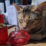عطر ادکلن مای رد بای دمی مور اوریفلیم - My Red by Demi Moore Oriflame - بررسی، قیمت و خرید
