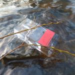 عطر ادکلن این رید آرماند باسی - In Red Armand Basi - بررسی، قیمت و خرید