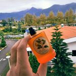 عطر ادکلن بوچولی دی لیمون مونوتم ونیزیا - Boccioli di Limone Monotheme Venezia - بررسی، قیمت و خرید
