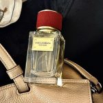 عطر ادکلن ولوت دیزایر دولچه اند گابانا - Velvet Desire Dolce&Gabbana - بررسی، قیمت و خرید
