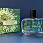 عطر ادکلن سانتال کارداموم فراگونار - Santal Cardamome (Sandalwood Cardamom) Fragonard - بررسی، قیمت و خرید