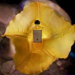 عطر ادکلن نویت د سلوفان سرژ لوتن - Nuit de Cellophane Serge Lutens - بررسی، قیمت و خرید
