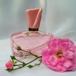عطر ادکلن کاساندرا رز اینتنس ژان آرتیس - Cassandra Rose Intense Jeanne Arthes - بررسی، قیمت و خرید