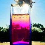 عطر ادکلن هانا موری پرپل باترفلای هانا موری - Hanae Mori Purple Butterfly Hanae Mori - بررسی، قیمت و خرید