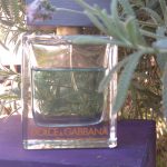 عطر ادکلن ذ وان جنتلمن دولچه گابانا - The One Gentleman Dolce&Gabbana - بررسی، قیمت و خرید