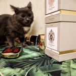 عطر ادکلن دراکو تیزیانا ترنزی - Draco Tiziana Terenzi - بررسی، قیمت و خرید