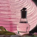عطر ادکلن پاول اسمیت رز پاول اسمیت - Paul Smith Rose Paul Smith - بررسی، قیمت و خرید
