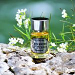 عطر ادکلن شامبورد دوازده پارفومر فرانسوی - Chambord 12 Parfumeurs Francais - بررسی، قیمت و خرید