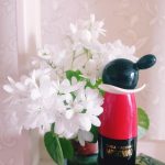 عطر ادکلن چیپ اند شیک موشینو - Cheap & Chic Moschino - بررسی، قیمت و خرید