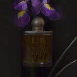 عطر ادکلن نیو سایبت اسلمبرهوس - New Sibet Slumberhouse - بررسی، قیمت و خرید