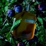 عطر ادکلن د لیبرری کالکشن اوپوس وان آمواج - The Library Collection Opus I Amouage - بررسی، قیمت و خرید