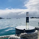 عطر ادکلن رز آمریکا یون نویت نوماد - Rose America Une Nuit Nomade - بررسی، قیمت و خرید