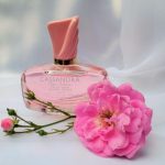عطر ادکلن کاساندرا رز اینتنس ژان آرتیس - Cassandra Rose Intense Jeanne Arthes - بررسی، قیمت و خرید