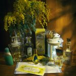 عطر ادکلن میموزا دیلیس پارفوم - Mimoza Dilís Parfum - بررسی، قیمت و خرید