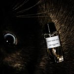 عطر ادکلن لدر عود دیور - Leather Oud Dior - بررسی، قیمت و خرید