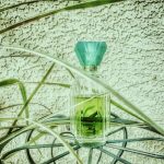 عطر ادکلن امرو کوتی - Emeraude Coty - بررسی، قیمت و خرید