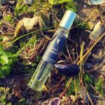 عطر ادکلن رز آمریکا یون نویت نوماد - Rose America Une Nuit Nomade - بررسی، قیمت و خرید