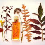 عطر ادکلن له کواتغ سیزون: اُتمن م. میکالف - Les 4 Saisons: Automne M. Micallef - بررسی، قیمت و خرید