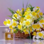 عطر ادکلن گابریل شانل - Gabrielle Chanel - بررسی، قیمت و خرید