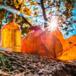 عطر ادکلن هالووین سان هالووین - Halloween Sun Halloween - بررسی، قیمت و خرید