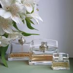عطر ادکلن لاو این پاریس نینا ریچی - Love in Paris Nina Ricci - بررسی، قیمت و خرید