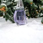 عطر ادکلن پرسیو ایوون - Perceive Avon - بررسی، قیمت و خرید