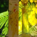 عطر ادکلن مِچتا بروکارد - Mechta Brocard - بررسی، قیمت و خرید