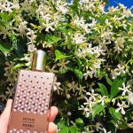 عطر ادکلن گرانادا ممو پاریس - Granada Memo Paris - بررسی، قیمت و خرید