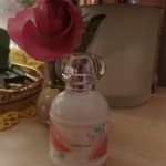 عطر ادکلن آناهیس آناهیس لوریژینال او دو پارفوم کاچارل - Anais Anais L’Original Eau de Parfum Cacharel - بررسی، قیمت و خرید