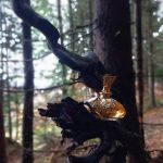 عطر ادکلن گیپور اند سیلک یلانگ وانیل ژان آرته‌س - Guipure & Silk Ylang Vanille Jeanne Arthes - بررسی، قیمت و خرید