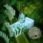 عطر ادکلن دوشیستایا آکاسیا دیلیس پارفوم - Dushistaya Akaciya Dilís Parfum - بررسی، قیمت و خرید