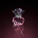 عطر ادکلن نایت جول جیلی استوارت - Night Jewel Jill Stuart - بررسی، قیمت و خرید