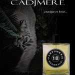 عطر ادکلن کشمیره هجده پیر گیوم پاری - Cadjmere 18 Pierre Guillaume Paris - بررسی، قیمت و خرید
