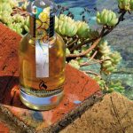 عطر ادکلن ریواژ دو مدیترانه بیسومین - Rivages de Mediterranee Bissoumine - بررسی، قیمت و خرید
