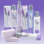 عطر ادکلن لاوندا هربا می‌فر - Lavenda Herba Mayfair - بررسی، قیمت و خرید
