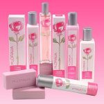 عطر ادکلن رزا روزی می‌فر - Rosa Rosae Mayfair - بررسی، قیمت و خرید