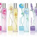 عطر ادکلن رزا روزی می‌فر - Rosa Rosae Mayfair - بررسی، قیمت و خرید