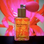 عطر ادکلن نایت بلومینگ سریوس پراگون پرفیومز - Night Blooming Cereus Paragon Perfumes - بررسی، قیمت و خرید
