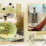 عطر ادکلن رزمری سیج پتی کُلُن تایمز - Rosemary Sage Petite Cologne Thymes - بررسی، قیمت و خرید
