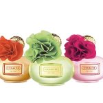 عطر ادکلن کُچ پاپی سیتِرین بلاسِم کوچ - Coach Poppy Citrine Blossom Coach - بررسی، قیمت و خرید