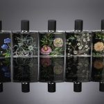 عطر ادکلن دالیا اند واینز نست - Dahlia & Vines Nest - بررسی، قیمت و خرید