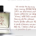 عطر ادکلن استی ویت می لیزون د پارفوم - Stay With Me Liaison de Parfum - بررسی، قیمت و خرید