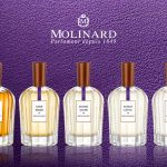 عطر ادکلن انبر لومیر مولینارد - Ambre Lumiere Molinard - بررسی، قیمت و خرید